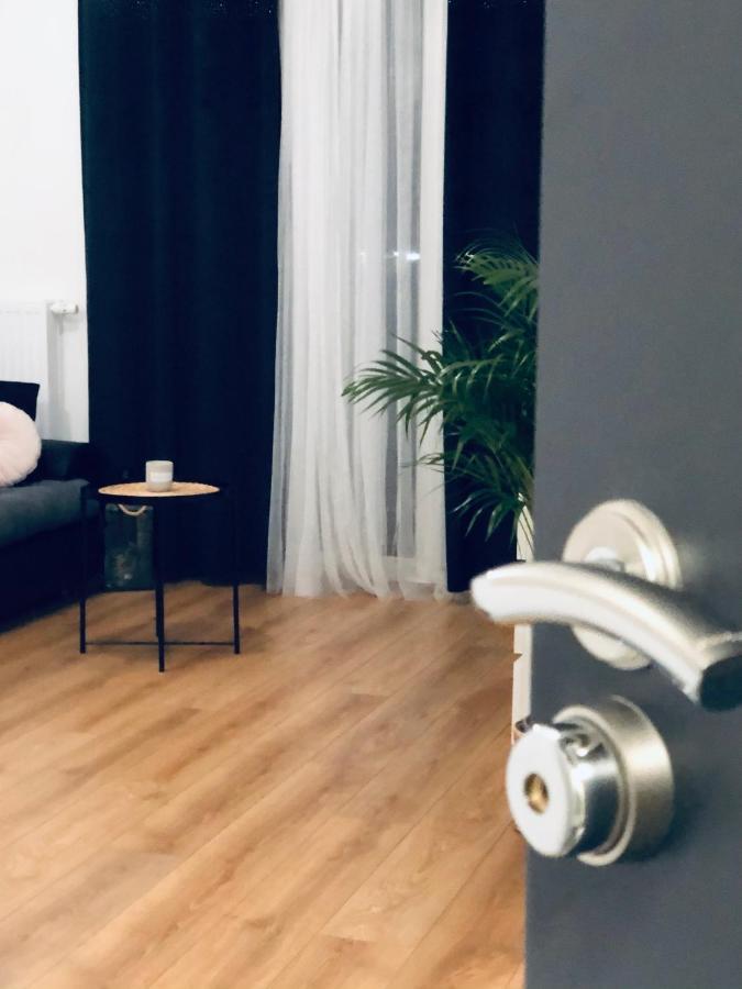 Torun Apartaments - Apartaments №17 外观 照片
