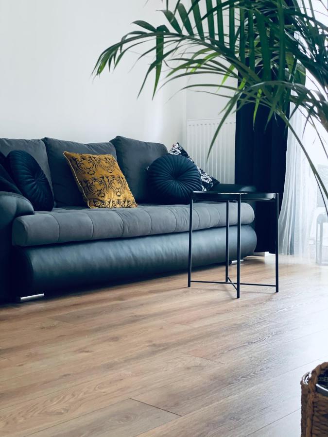 Torun Apartaments - Apartaments №17 外观 照片